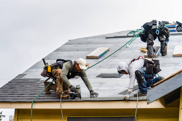 Professional Emergency Roof Repair technician working in Holley, NY